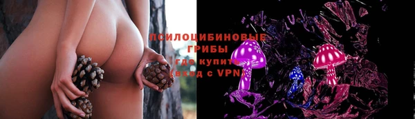 соль ск Лиски