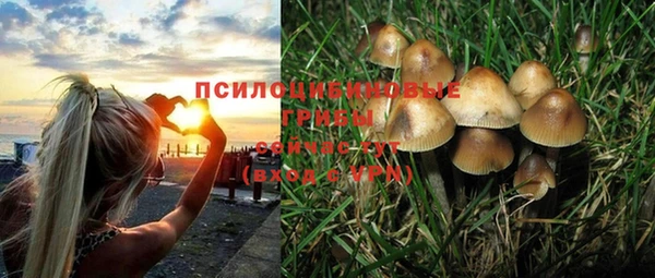 мяу мяу мука Лабытнанги