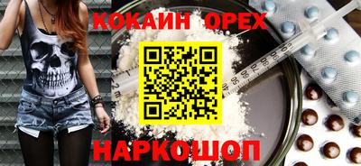 сатива Кингисепп