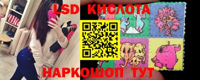 сатива Кингисепп