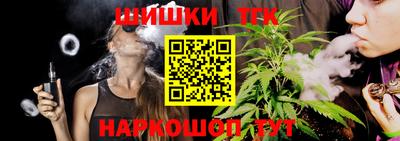 сатива Кингисепп