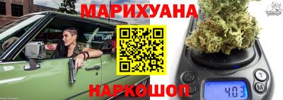 сатива Кингисепп