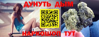 сатива Кингисепп