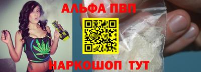сатива Кингисепп