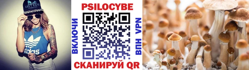 Галлюциногенные грибы Cubensis  Элиста 