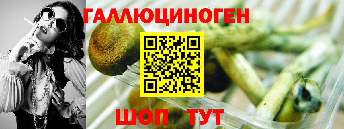 Элиста  Галлюциногенные грибы мицелий  Вход с VPN  как найти закладки  Галлюциногенные грибы GOLDEN TEACHER 